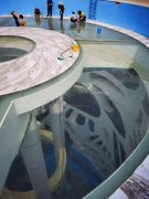 瑞地格樂：游泳池建設(shè)要求