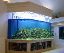 亞克力魚(yú)缸搬運(yùn)要注意什么