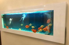 玻璃魚缸好還是亞克力魚缸好？