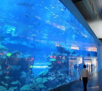 如何設(shè)計(jì)有吸引力的海洋館工程？